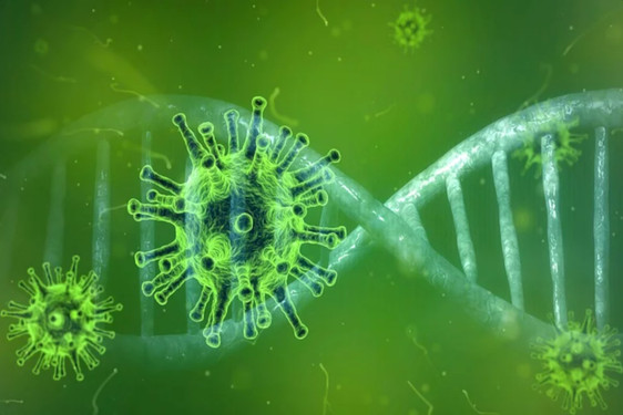 Coronavirus DNA-Strang, Foto: Pete Linforth/Pixabay