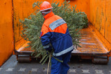 Feuerwehren in Wiesbaden sammeln die ausgedienten Weihnachtsbäume ein