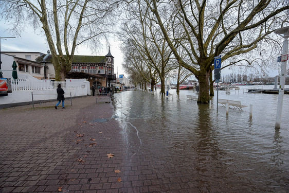 Hochwasser Pegel Mainz