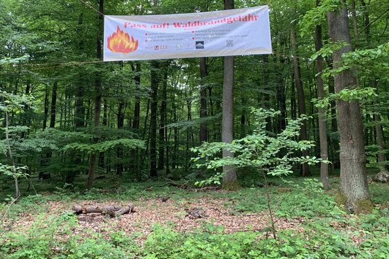 Die Waldbrandgefahrenstufe in Wiesbaden wird aufgrund der vergangenen Regenfälle und der deutlichen Abkühlung auf die Stufe 1 herabgesetzt. Das Rauchen im Wald bleibt verboten.