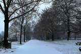 Schneefall in Wiesbaden wird am Freitag erwartet