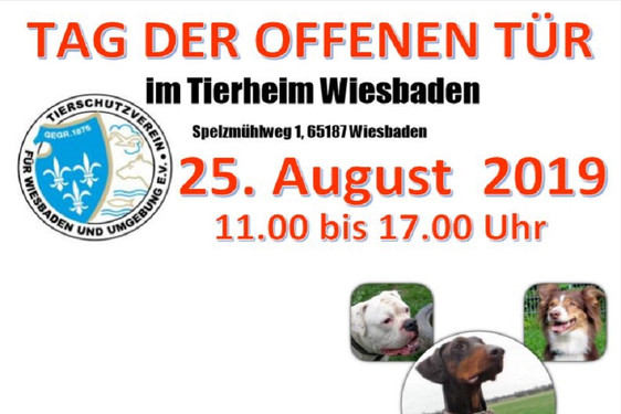 Volles Programm bein Tag der offenen Tür im Tierheim Wiesbaden.