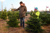 Auf der Wiesbadener Platte können interessierte Bürgerinnen und Bürger gemeinsam mit dem Team vom Forsthaus Langendellschlag einen Weihnachtsbaum mit FSC- und Naturland-Zertifikat schlagen.