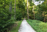 Freigabe zur Nutzung nach Sanierung des Graf-Hülsen-Weges im Wiesbadener Stadtwald.