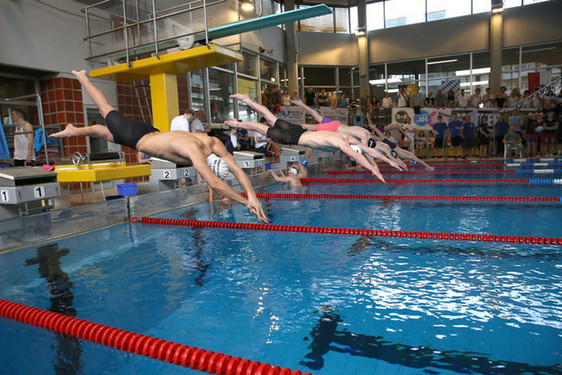 Deutsche Mannschaftsmeisterschaften im Schwimmen live in Wiesbaden