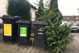 Die ELW sammeln die ausgedienten Bäume im Januar ein - Die Jugendwehren aus Wiesbaden pausieren aufgrund der Corona-Pandemie