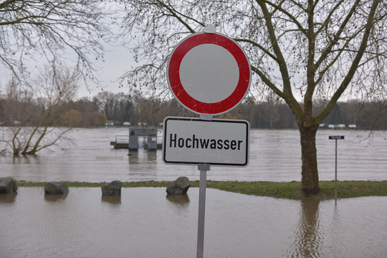 Das Hochwasser an Rhein und Main ist leicht angestiegen gegenüber den letzten Tagen - Entspannung ist noch nicht in Sicht