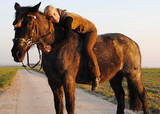 Pferd und Reiterin