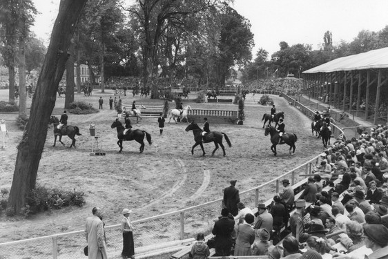 Ein Blick in 1952 – das erste Turnier auf dem neuen großen Platz, der heute noch alljährlich internationale Top-Reiter empfängt