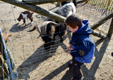 Kinder entdecken die Tiere und Pflanzen in der Fasanerie