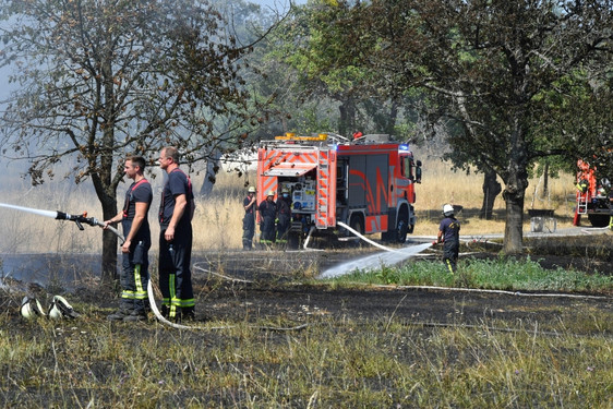 Die Feuerwehr musste am Mittwoch einen Brand auf einer Obstplantage löschen, der von einem brennenden Misthaufen übergegriffen hatte.