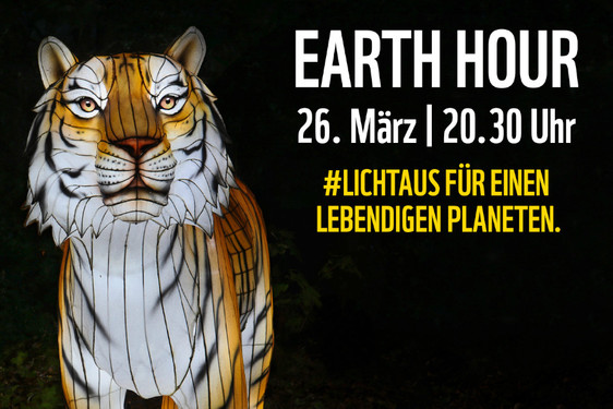 Die "WWF Earth Hour" findet dieses Jahr am Samstag, 26. März statt. Dann werden auch wieder in Wiesbaden zahlreiche Lichter ausgehen