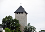 250.000 Euro für Sanierung der Burg Sonnenberg