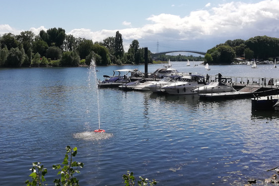 Die neue Wasserfontäne im Schiersteiner Hafenbecken.