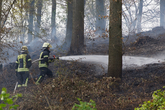 Waldfläche in der Nähe von Schloss Freudenberg in Brand geraten