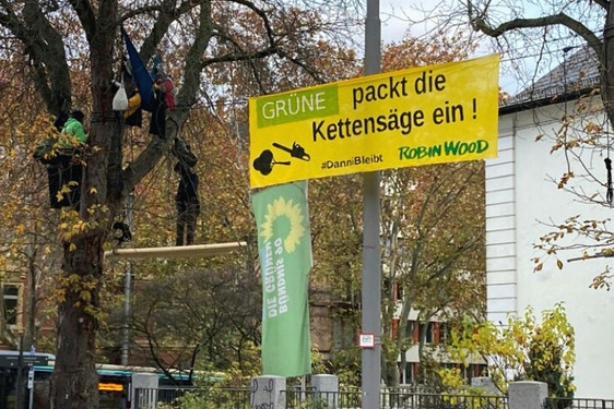 Aktivisten der Umweltschutzorganisation Robin Wood besetzen am Freitag vor der Parteizentrale der hessischen Grünen in Wiesbaden zwei Bäume. Des folgte ein großer Polizeieinsatz und das SEK holte die Baumbesetzer herunter.