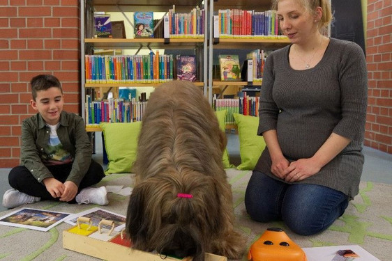 Am Freitag, 18. November, ist Vorlesetag. In der Stadt- und Musikbibliothek lesen Kinder dem Büchereihund Bonny vor.
