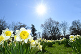 Der Frühling liegt in der Luft. Am Wochenende soll es fast schon sommerlich in Wiesbaden werden und das Anfang April.