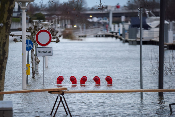 Das Hochwasser am Rhein ist am Sonntag weiter angestiegen. Am Abend soll der Scheitelpunkt erreicht werden.