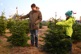 In Heßloch können am Samstag, 12. Dezember, Weihnachtsbäume geschlagen werden.