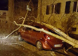 Sturmtief "Egon" ließ Bäume umknicken und fegte Bauzäune in Wiesbaden um