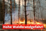 Waldbrandgefahr: Warnstufe 4 in Wiesbaden ab Mittwoch, 19. Juli, 2023.