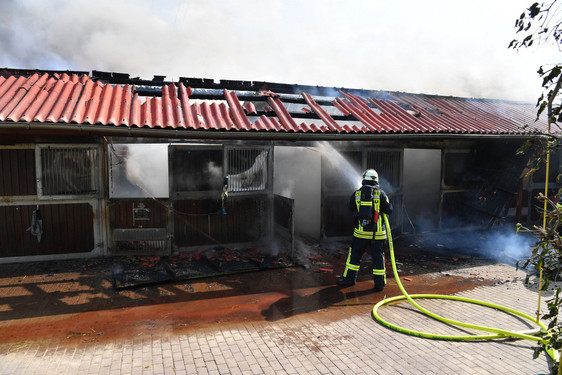 Großbrand auf dem Fohlenhof in Wallau gelöscht