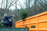 Jugendfeuerwehren und die ELW sammeln die ausgedienten Bäume im Januar ein