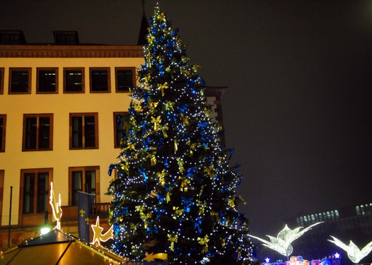 Wiesbadener Weihnachtsbaum